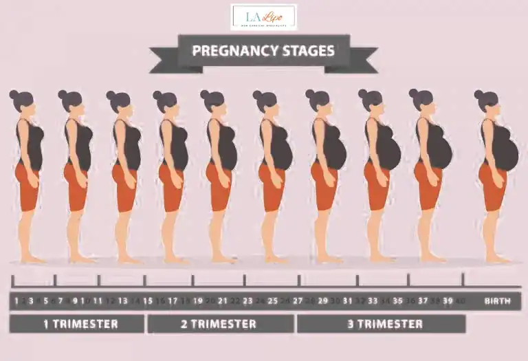First Trimester (Weeks 1–12): Early Changes You Might Not Notice Bournemouth